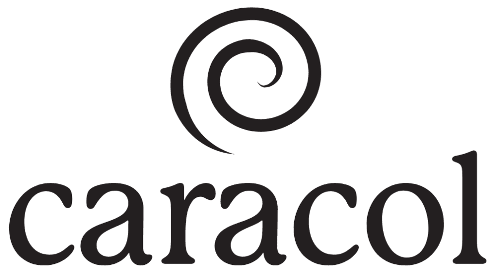 caracol logo design by shaye.design, a website designer and brand designer in Boston, MA