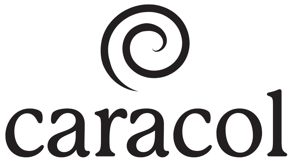 caracol logo design by shaye.design, a website designer and brand designer in Boston, MA